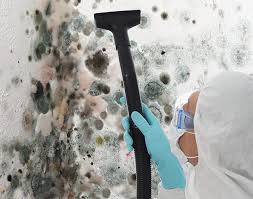 Best Black Mold Removal  in Gold Beach, OR